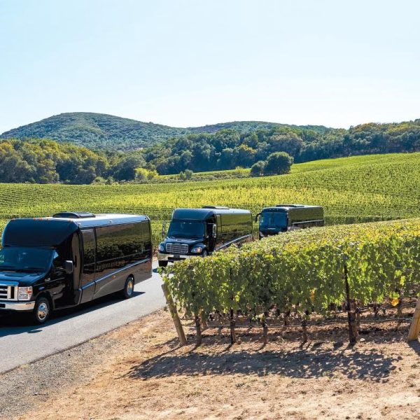 Wineries Tours Limo Service1