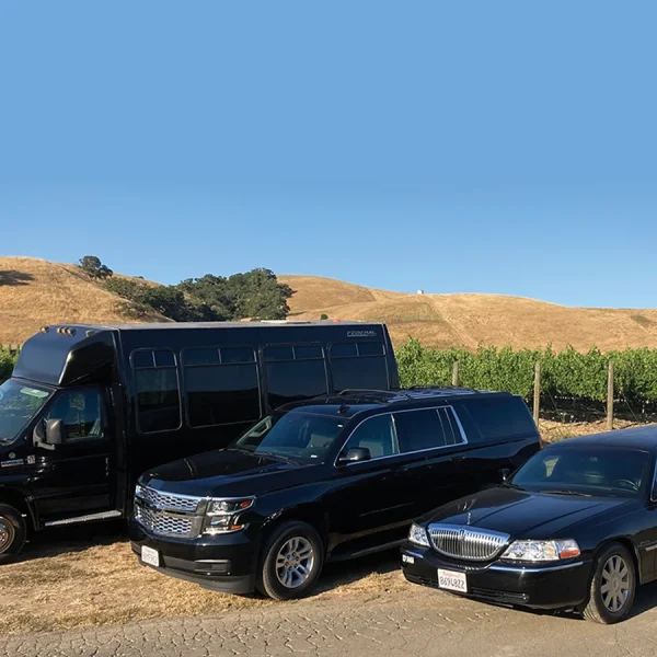 Wineries Tours Limo Service2