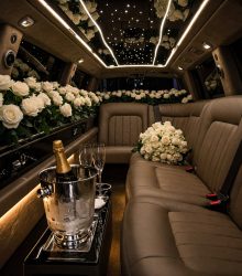 db5e3988cd89f385c9da6c722a6c9b25